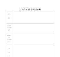 경력기술서 (3) 경력기술서 (3)